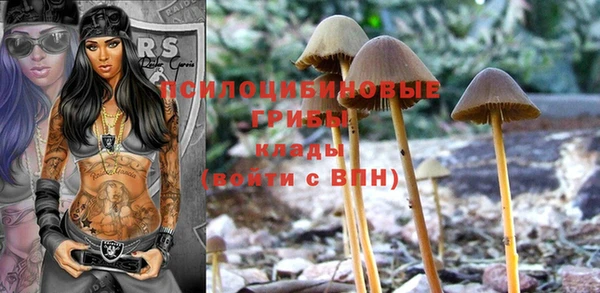 ALPHA PVP Алексин